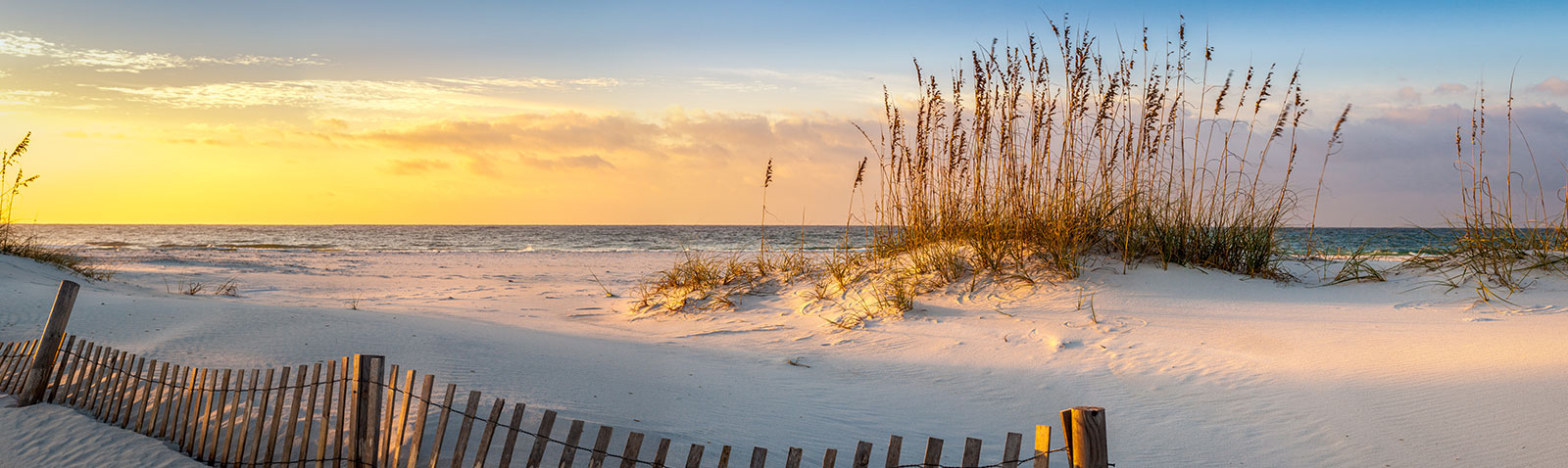 Morgan Family Dentistry