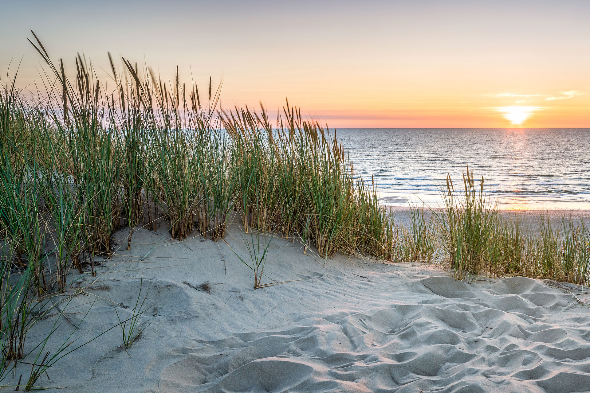 Morgan Family Dentistry